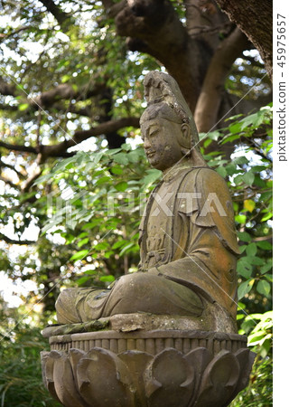 Yokohama Sankeien Ide Kannon 45975657