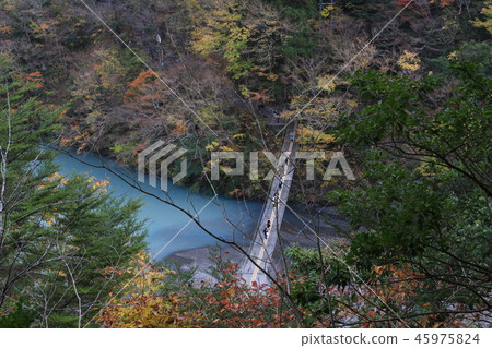 Suspension bridge in the autumn of the autumn Suspension bridge in the autumn of the autumn 45975824