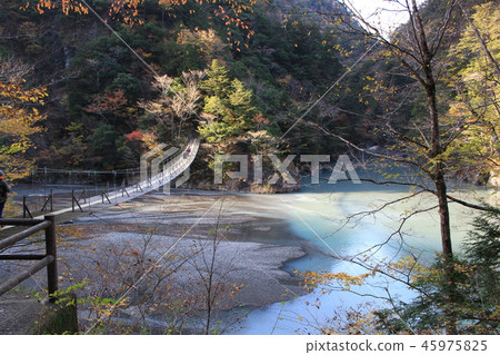 Suspension bridge in the autumn of the autumn Suspension bridge in the autumn of the autumn 45975825