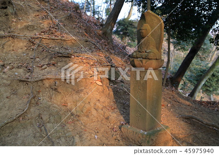 The 9th Stone Buddha of Kanegagatake, Atsugi City, Kanagawa Prefecture 45975940