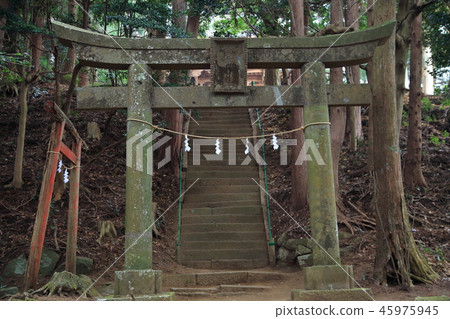 神奈川縣厚木市Kanegagatake的淺間神社鳥居 45975945