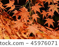 Autumn leaves of Kokoen 45976071