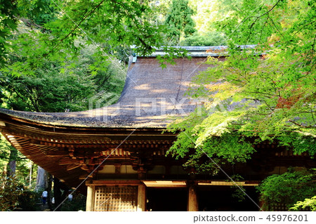 Muro-ji Temple,Main Hall,Shocho-do,National Treasure Muro-ji Temple,Main Hall,Shocho-do,National Treasure 45976201