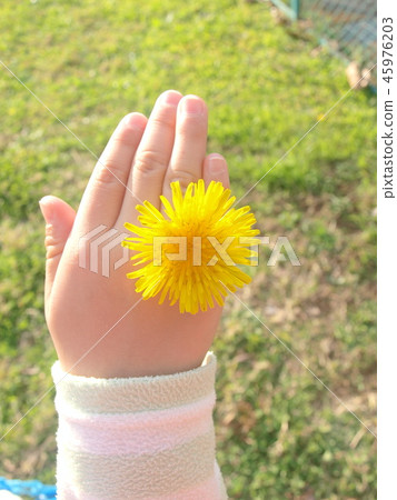 蒲公英戒指 45976203