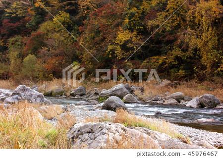 Mitake Valley in the Fall (6) Mitake Valley in the Fall (6) 45976467