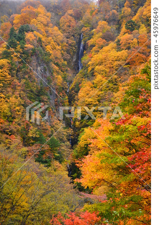 松川谷秋葉Yakaki Nagano 45976649