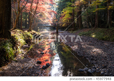 小國神社 45977948