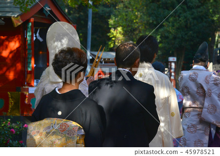 Bride and groom 45978521