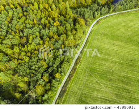 Road separates wild forest from field Road separates wild forest from field 45980915