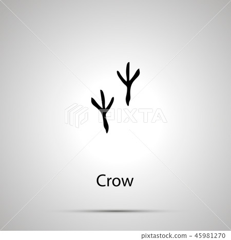 Crow paws, steps imprints, simple black silhouette Crow paws, steps imprints, simple black silhouette 45981270