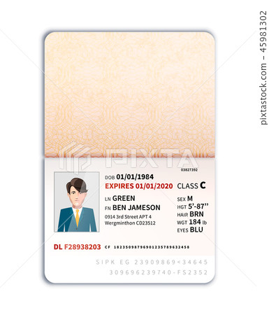 Foreign travel document with photo Foreign travel document with photo 45981302