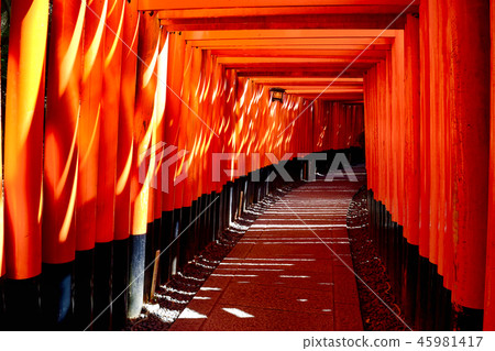 Fushimi Inari shrine Torii Torii Fushimi Inari shrine Torii Torii 45981417