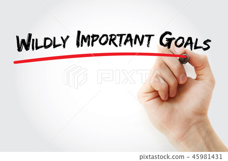 WIG - Wildly Important Goals acronym 45981431