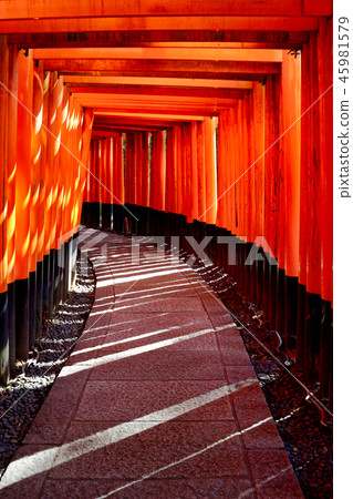 Fushimi Inari shrine Torii Torii 45981579