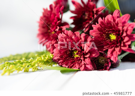 Beautiful red fresh chrysanthemum flowers bouquet 45981777