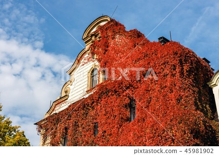 Moszna Castle, Upper Silesia, Poland 45981902