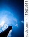 天空樹高聳 45981963