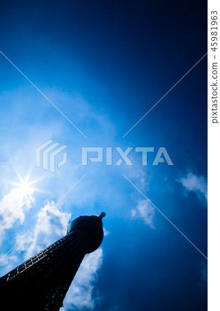 Sky Tree towering high Sky Tree towering high 45981963