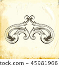 Vector baroque of vintage elements for design.  45981966