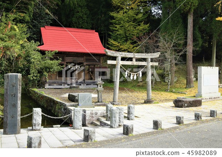 忍野春天的春天 45982089