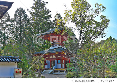 [Enjoji Tahoto]（高分辨率版本）奈良市奈良市Shinobiyama Town 45982557