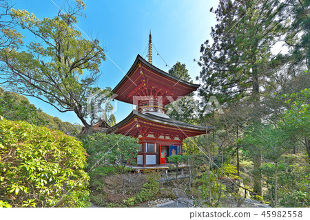 [Enjoji Tahoto] (High-resolution version) Nara City Nara City Shinobiyama Town 45982558