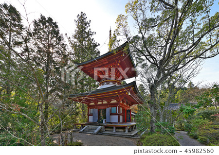 [Enjoji Tahoto]（高分辨率版本）奈良市奈良市Shinobiyama Town 45982560