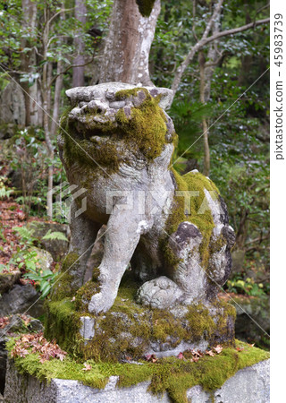 Gohodo Benzaiten Shiba Inu Gohodo Benzaiten Shiba Inu 45983739