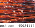 The squid 45984114