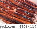 The squid 45984115