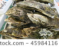 Oyster 45984116