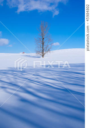 在雪原上奔跑 45984802