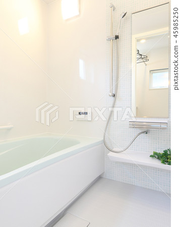 A beautiful unit bath of model house 45985250