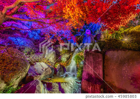 Mejiro Garden Autumn Garden Light Up 45985803