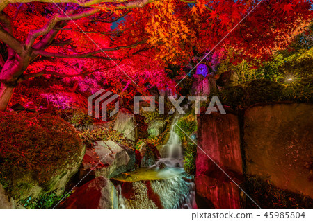 Mejiro花園秋天庭院點燃 45985804