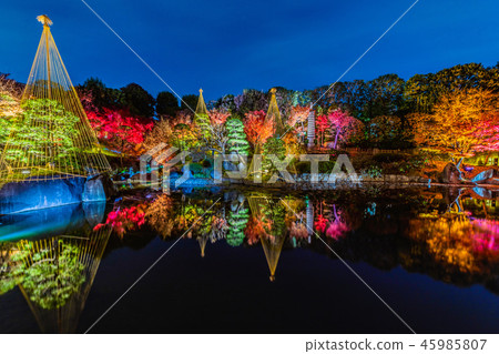 Mejiro花園秋天庭院點燃 45985807