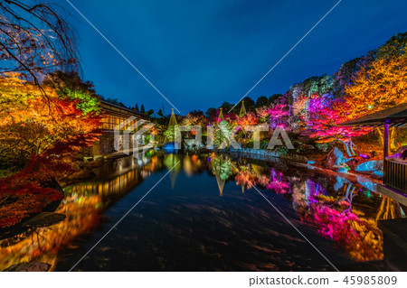 Mejiro花園秋天庭院點燃 Mejiro花園秋天庭院點燃 45985809