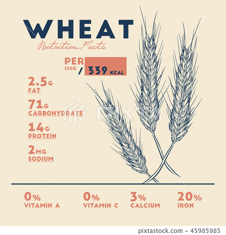 Health Benefits Of Wheat Nutrition Facts Stock Illustration 45985985 Pixta Know nutrition and calorie facts in 100gms of barley flour or meal. https www pixtastock com illustration 45985985