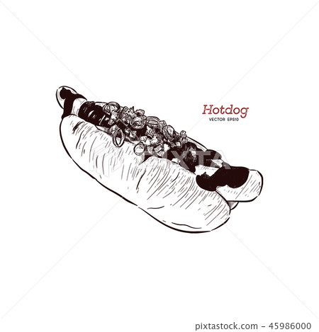 hot dog, sketch, vector drawing, fast food 45986000