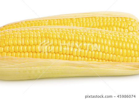 Fresh corn isolated on white background 45986074