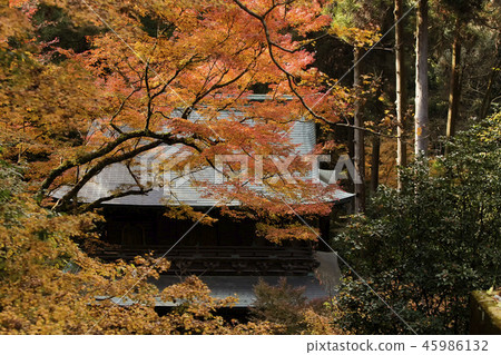 Miyama City Kiyomizu Temple秋葉 Miyama City Kiyomizu Temple秋葉 45986132