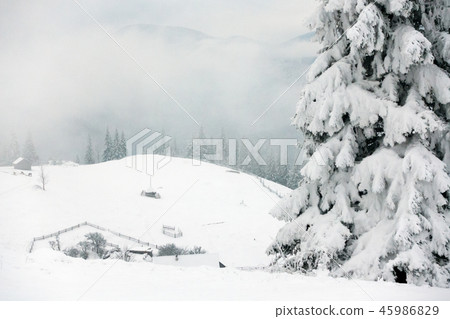 frozen very beautiful trees. Winter tale. Landscape to admire. superb mountains 45986829