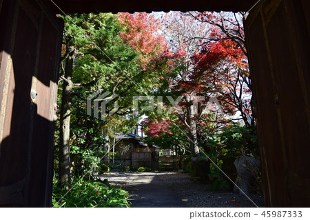 Tokyo Prefecture Suginami Ward Tounji Temple 45987333