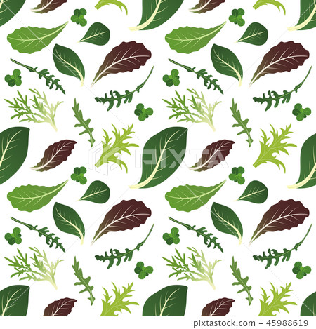 Mix of salad leaves. Arugula, spinach, lettuce leaf, watercress and radicchio. Seamless pattern 45988619