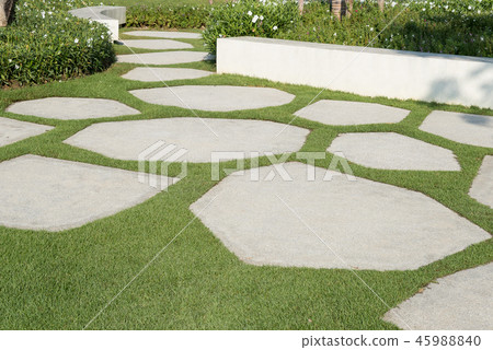 Texture or pattern of paving walkway. 45988840