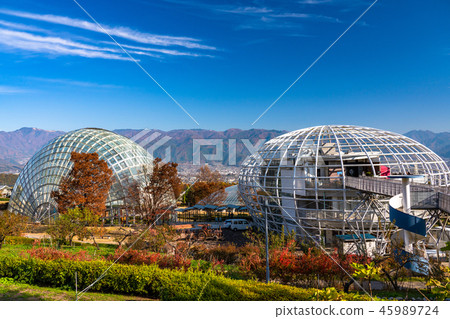 《Yamanashi Prefecture》Fuebukigawa Fruit Park/Autumn Sunny 45989724