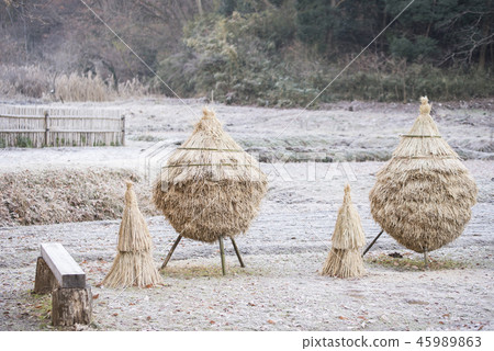 [Warabotchi] 45989863