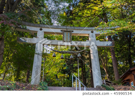 寶藏登山神社 45990534