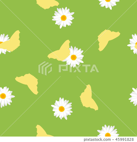 Seamless pattern meadow, butterfly and white daisy - Stock Illustration ...