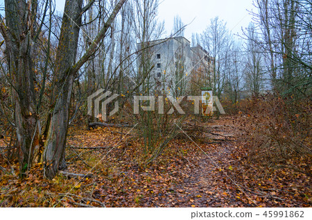 Thickets in center of abandoned ghost town Pripyat 45991862